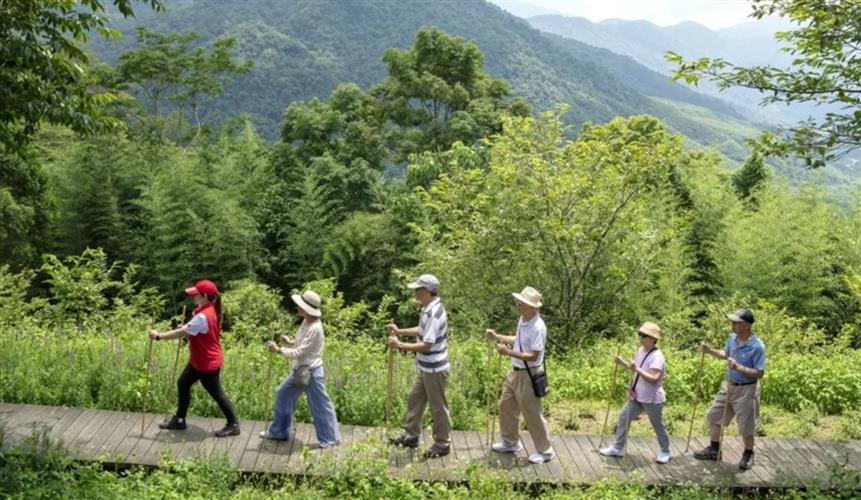 隨著環保意識抬升,逾5成旅客優先選擇綠色旅遊行程。(圖/雄獅旅遊提供)