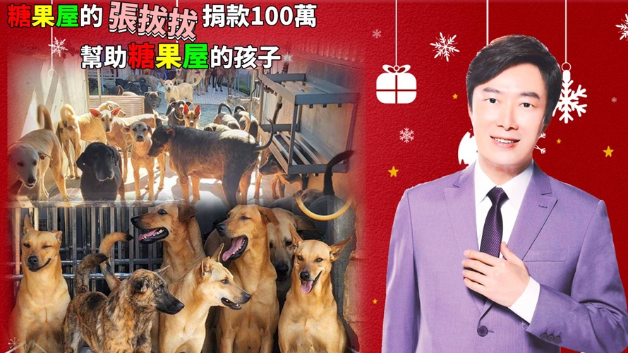 多家流浪動物救助單位感謝費玉清捐款。(圖/高雄市關懷流浪動物協會提供)