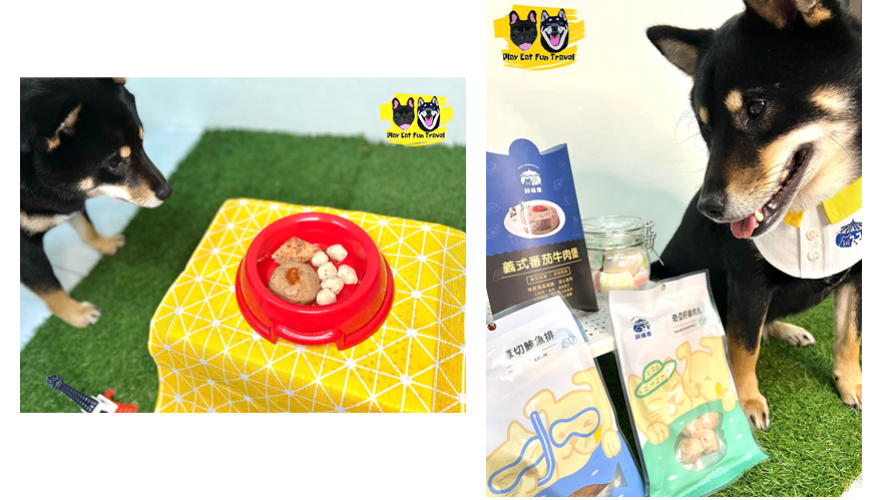 圖/ 法鬥黑皮柴犬肉圓Play不累Lay提供