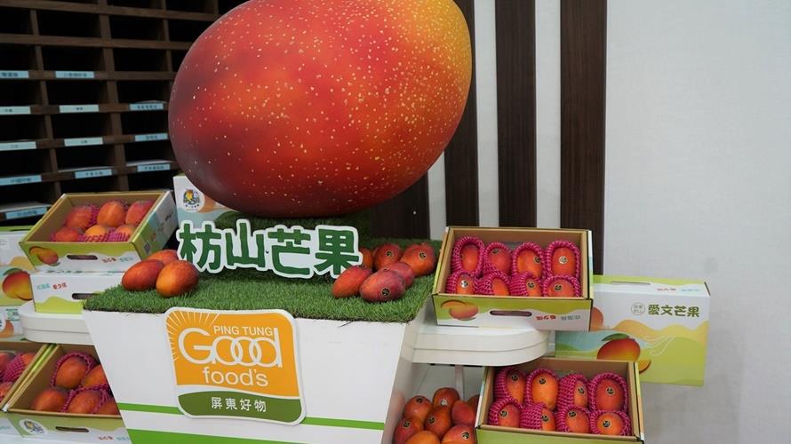 枋山芒果進入產季。(圖/屏東縣政府提供)
