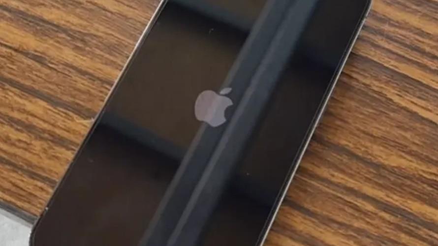 iPhone掉入馬桶一周證實防水能力強。(圖/取自Dcard)