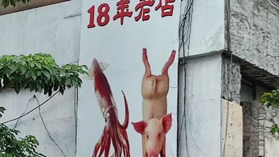 這個招牌引人注意。（圖／翻攝臉書路上觀察學院）