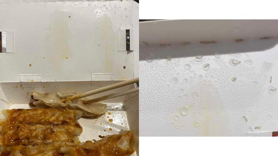 ▲八方雲集鍋貼餐盒上有疑似活體蛆在蠕動(圖/擷取自爆料公社)