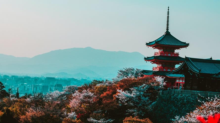 奢華跟團讓不少網友驚訝可以這樣玩。(圖/翻攝日本自助旅行中毒者臉書)