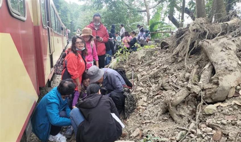 阿里山森林鐵路14日有旅客闖軌道區拍照,閃避不及遭小火車撞倒,左腳骨折送醫。(圖/讀者提供)