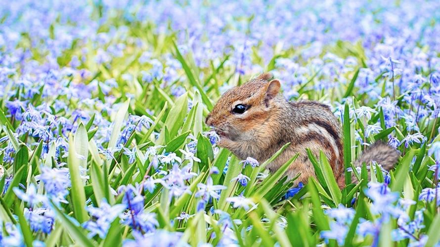 立春禁忌多,回娘家、剪髮都不好。(示意圖/翻攝自pixabay)